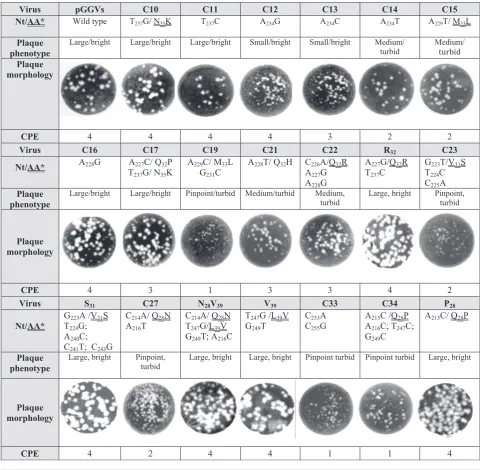 Table 1. Affect of mutations within the SL6 on TBEV phenotype
