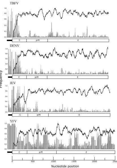 Figure 2. Phylogenetic conservation of RNA structures in the TBFV and MBFV groups across the 5Black lines represent SSSV for TBFV, DENV, JEV and YFV