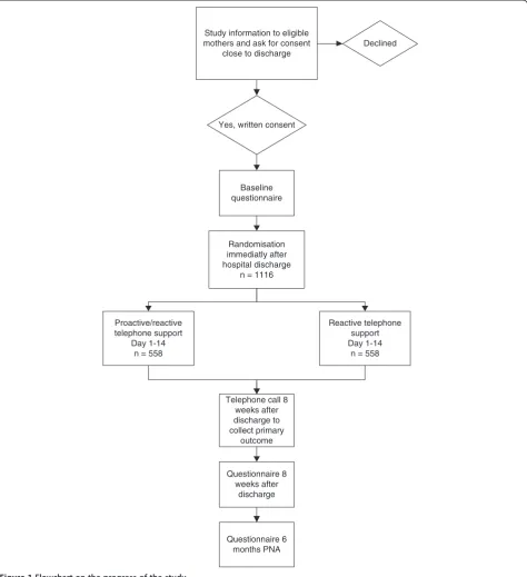 Figure 1 Flowchart on the progress of the study.