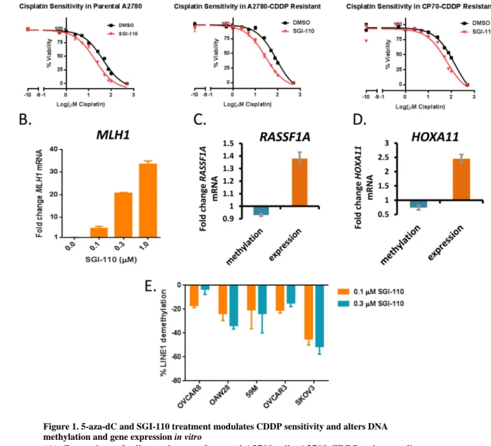 Figure 1. 5-aza-dC and SGI-110 treatment modulates CDDP sensitivity and alters DNA  methylation and gene expression in vitro
