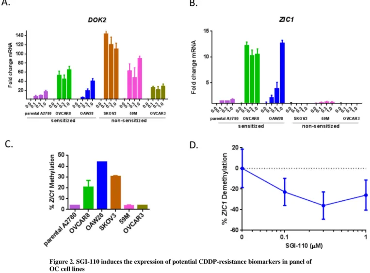 Figure 2. SGI-110 induces the expression of potential CDDP-resistance biomarkers in panel of  OC cell lines