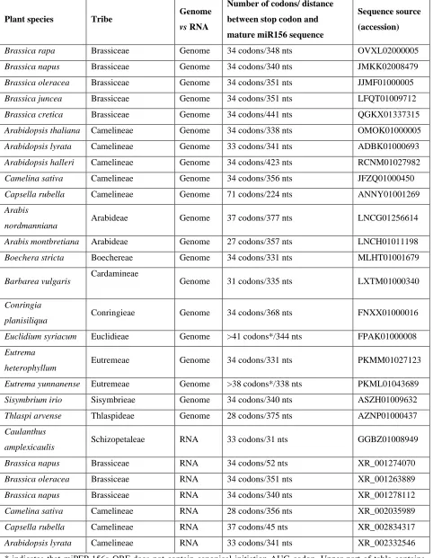 Table 1: List of the miPEP-156a ORFs in genomic and transcribed sequences of Brassicaceae