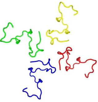 Figure 4: The B. rapa miPEP-156a oligomeric spatial model based on http://galaxy.seoklab.org/cgi-