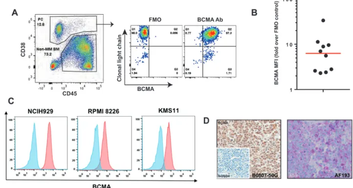 Figure 1: BCMA expression on MM patient samples.  (A) An example of flow cytometry analysis of a bone marrow (BM) sample 