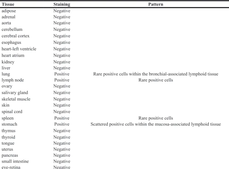Table 1: Tissue Microarray Analysis of Normal Tissues using chimeric rabbit antibody bearing BCMA10 scFv