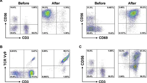 Fig. 1. The percentage of NK, gdT and CIK cells before and after induction. Representative results from a single patient are shown