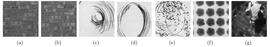 Figure 8: Texture samples from MIT VisTex and Brodatz Album texture databases: (a) Brick.0000; (b) Brick.0001; (c) D43;(d) D44; (e) D45; (f) D48; and (g) D59.