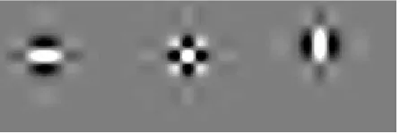 Figure 4: The impulse responses of the DWT ﬁlters for the 3 directional subbands, all illustrated at level 4 of the transforms.From left to right, 0◦, 45◦, and 90◦ subbands.