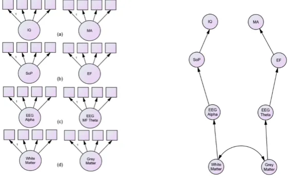 Figure, 24 12 of 16 distinction between SoP and EF. Panel 2 presents a hypothetical hierarchical pathway for our endophenotypes and represents a model derived from the theory proposed here—where a single pathway though the cognitive endophenotype—SoP, caus