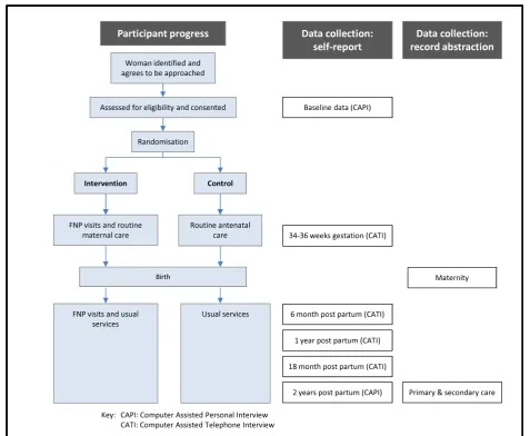 Figure 1 Participant flow diagram and data collection.