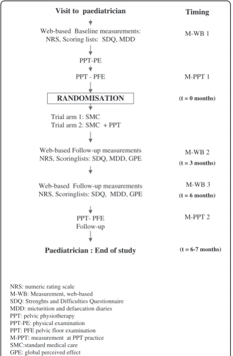 Figure 1 Flowchart of the randomised controlled trial.