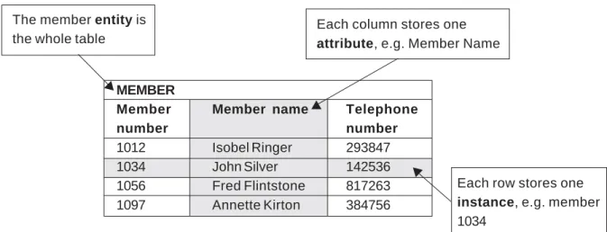 Figure 2.1: Entities, attributes and instances