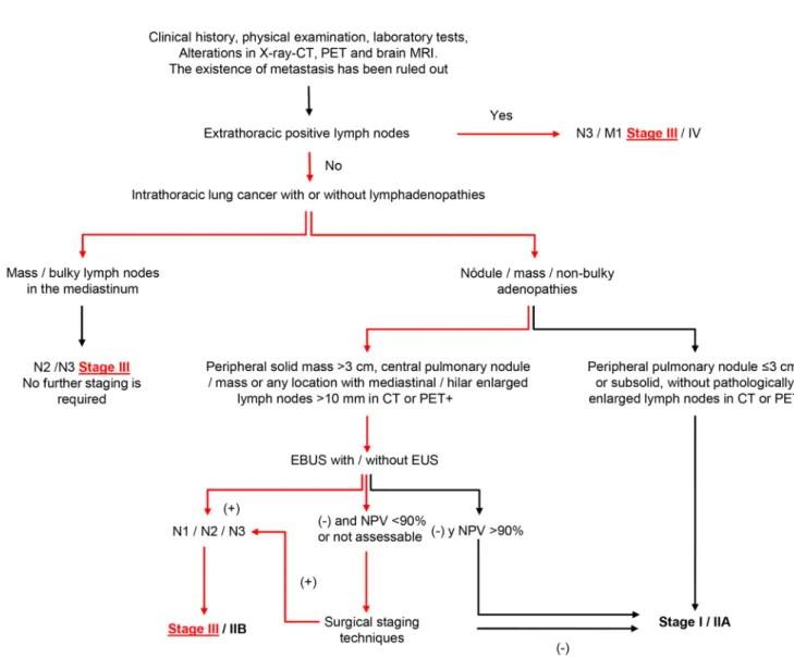 Fig. 1    Performance algorithm for the staging of NSCLC* [17]. *The  pathways leading to the diagnosis of stage III are highlighted in red