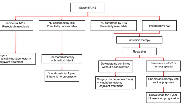 Fig. 3    Algorithm for the clinical management of patients with stage IIIA-N2 NSCLC. NSCLC Non-small cell lung cancer, IHC immunohisto- immunohisto-chemistry