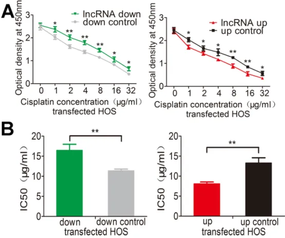 Figure 7: lnc-RAB11B-AS1 elevates sensitivity of HOS cells to cisplatin.  (A) HOS cell with down-regulated (down) or up- up-regulated (up) RAB11B-AS1 were added with increasing concentration of cisplatin and subjected to CCK-8 assay