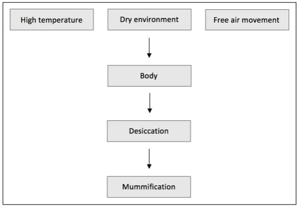 Figure  2.2.  Overview  of  mummification.  Source:  Bardale  2011.  