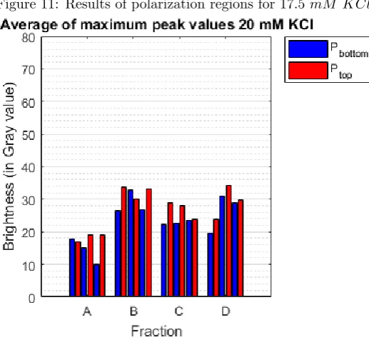 Figure 11: Results of polarization regions for 17.5 mM KCl