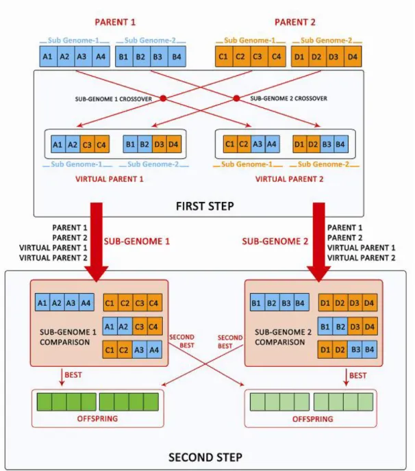 Figure 3.5: Layered Hybrid Crossover