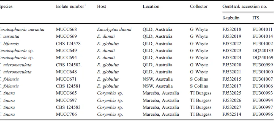 Table 1. Isolates of new species considered in the phylogenetic study 
