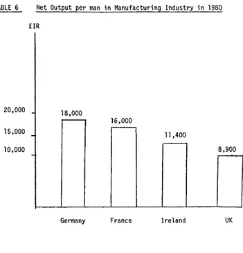 TABLE 6 Net Output per man in Manufacturing Industry in 1980