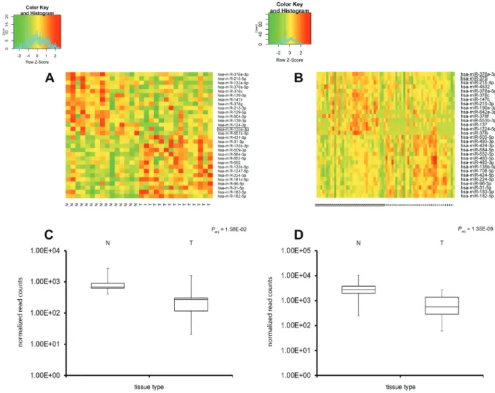 Figure 2: Expression screening of the miRNA molecules in colon and rectal adenocarcinoma (heatmap analysis).