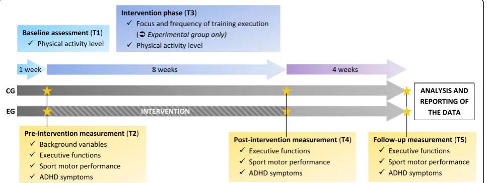 Fig. 1 Outcome variables and time points of assessments. CG = Control Group; EG = Experimental Group