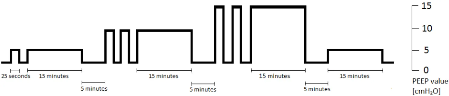 Figure 6.1: Overview of all PEEP values during the experimental protocol