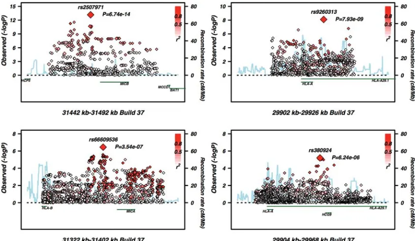 Figure 3. Fine-scale conditional regional association plots of the other four independent signals generated using the SNAP tool (diamonds and genotyped SNPs as squares