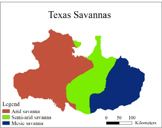 Figure  4.5:  Division  of  Texas  savannas  into  arid  savanna,  semi-arid  savanna, and mesic savanna