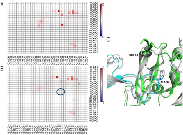 Figure 3 shows the contact map for the V13- V13-VEGF 165  complex after substituting Ala for Arg97