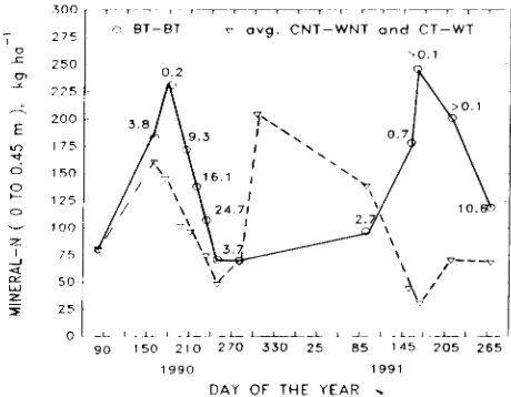 Fig. 2. Mineralization of N in the 0- to 0.45-m depth of soil in 1990and 1991 (average of all treatments; Day 60 is 1 March).