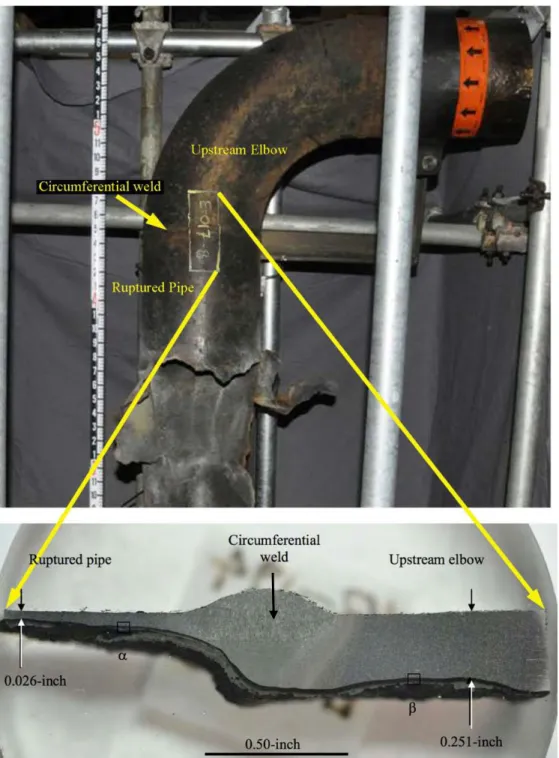 Figure 9. 4-sidecut piping sample (E-017-8) analyzed by Anamet Labs showing the relative  thickness of low silicon piping on the left and the high silicon piping on the right
