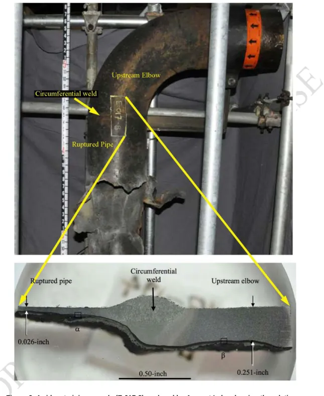 Figure 9. 4-sidecut piping sample (E-017-8) analyzed by Anamet Labs showing the relative  thickness of low silicon piping on the left and the high silicon piping on the right