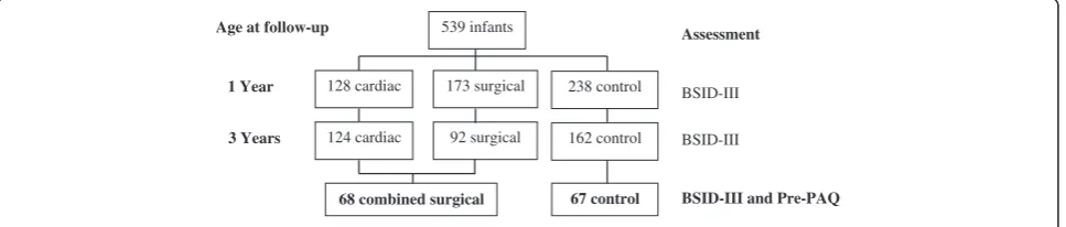 Fig. 1 Participant numbers and outcome assessment at age 1 and age 3 years