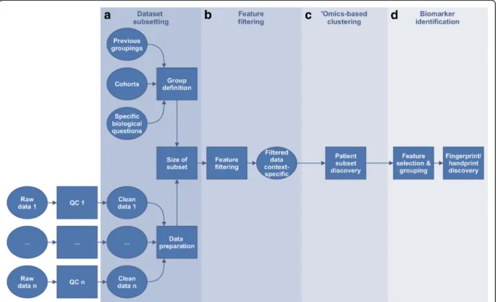 Fig. 3 Overview of the framework. Starting from quality-checked and pre-processed ‘omics data, four key generic steps are highlighted: (a) dataset subsetting, including formulation of the biological question to be answered and data preparation, (b) feature