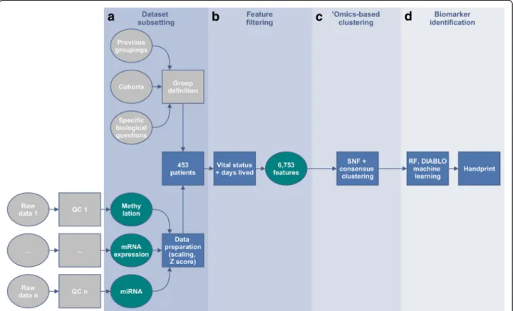 Fig. 4 Framework outline for the TCGA handprint analysis with additional feature filtering
