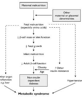 Figure 1.1: Diagram represent the key features of the "thrifty phenotype" hypothesis of the aetiology of T2DM (non-insulin-dependent diabetes)