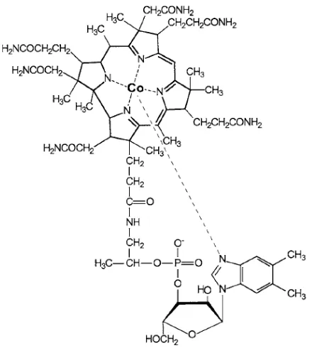 Figure 1.7: Structure of vitamin B12 compounds. Four coordination sites on the central cobalt atom are occupied by the nitrogen atoms of the corrin ring, and one by the nitrogen of the dimethylbenzimidazole nucleotide