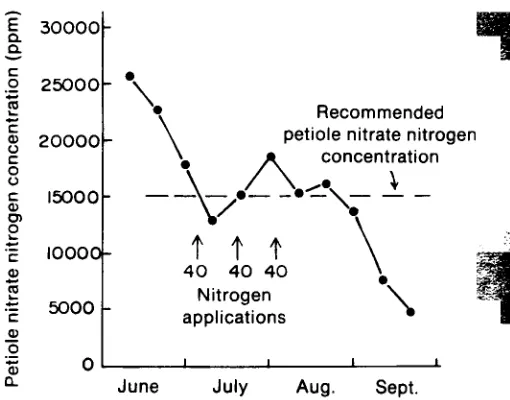 Fig. 9.5. Petiole nitrate concentration in Russet Burbank. Arrowsapplied (at the rate of 40 pounds per acre) through a sprinklerrepresent points during the growing season when nitrogen wasirrigation system.