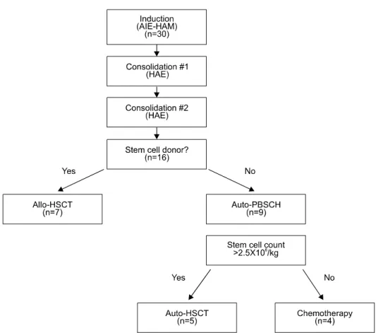 Fig.  1.  Treatment  diagram  of  acute  myeloid  leukemia  patients. 