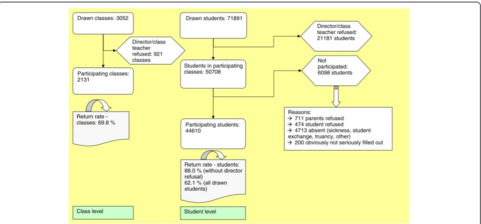 Figure 1 Sample constitution.