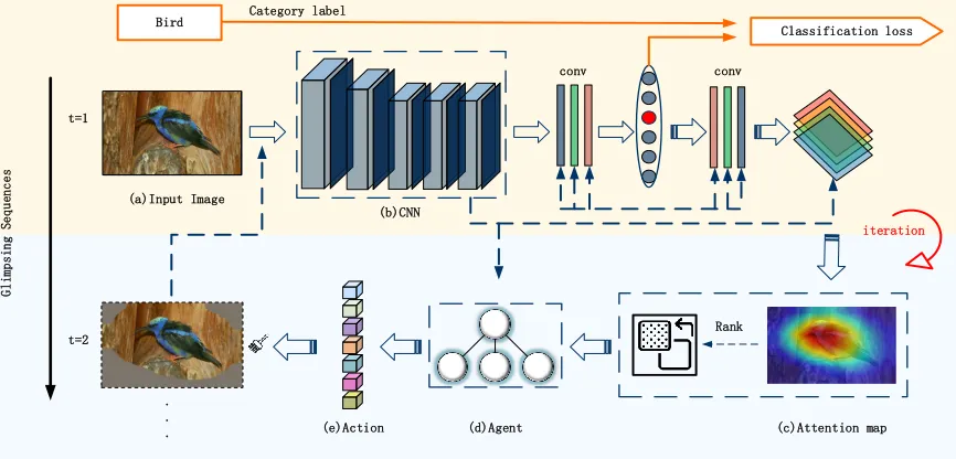 Figure 2: Pipeline of the proposed active searching strategy. We ﬁrst train the feature extractor (b) using the category label.Then, the CAM method is employed to obtain the class-speciﬁc attention map (c)
