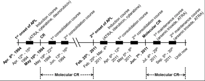Figure 4. The summary of the clinical history of the APL patient. 