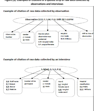 Figure (3): Examples of citations of a quoted strip of raw data collected by
