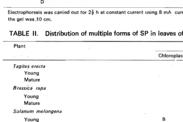 TABLE II. Distribution of multiple forms of SP in leaves of differing maturity 