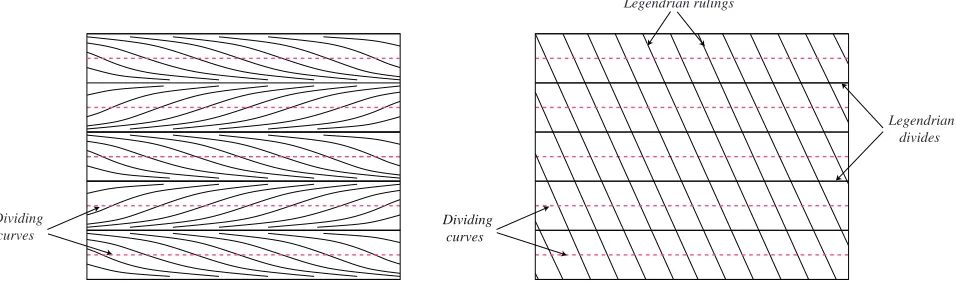 Figure 2.5: The left-hand side is a torus with nonsingular, Morse-Smale characteristic