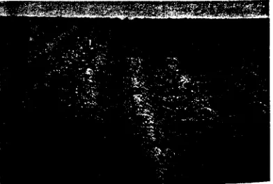 Fig. 2. Buried-pipe erosion and sediment-loss controlsystem. (a) First Irrigation after installation