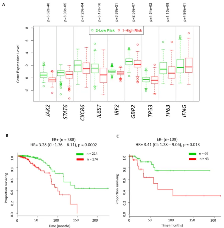 Figure 6: Significant prognostic value of IFN-γ mediated signalling in breast cancer patients