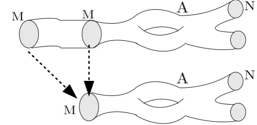 Figure 3.3: The identity axiom in X − Cob�n.