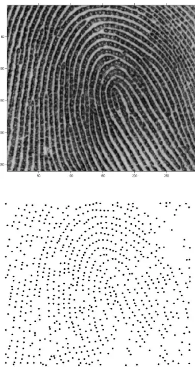 Figure 2.3: Top: Fingerprint a002-05 from the NIST Special Database 30 (Watson,2001).The sweat pores appear as small light-coloured circles along the ridges.Bottom: The pore pattern of ﬁngerprint a002-05, identiﬁed using empirical imageanalysis techniques (see Su et al., 2008).